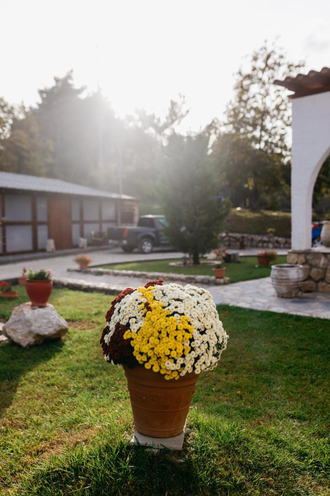 Apolithomeno Dasos Holiday Villas Near Alexandroupolis Lefkimmi  Eksteriør bilde